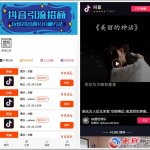 抖音快手点赞任务系统 在线任务交易系统,Thinkphp内核UI美化版