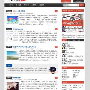 wordpress博客：小清新中文博客newgavin主题